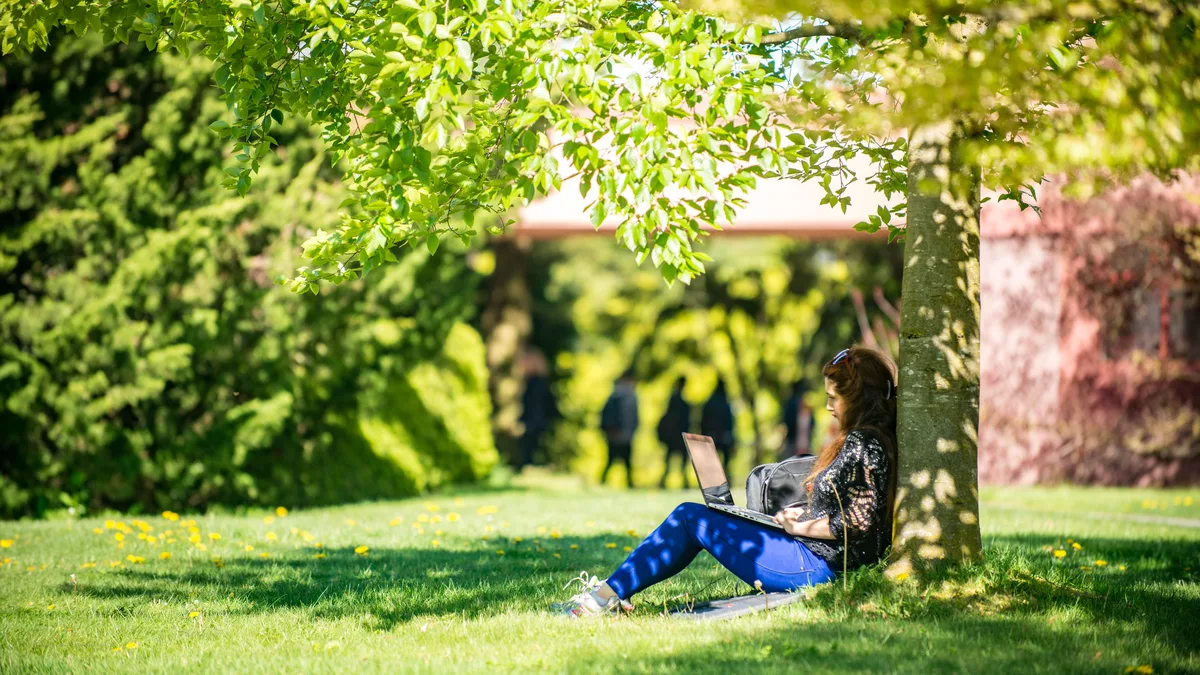 A student working on a laptop outdoors (representative image)