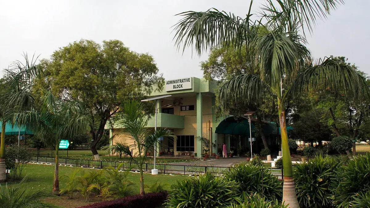 The Central University of Punjab campus in Bathinda (representative image).