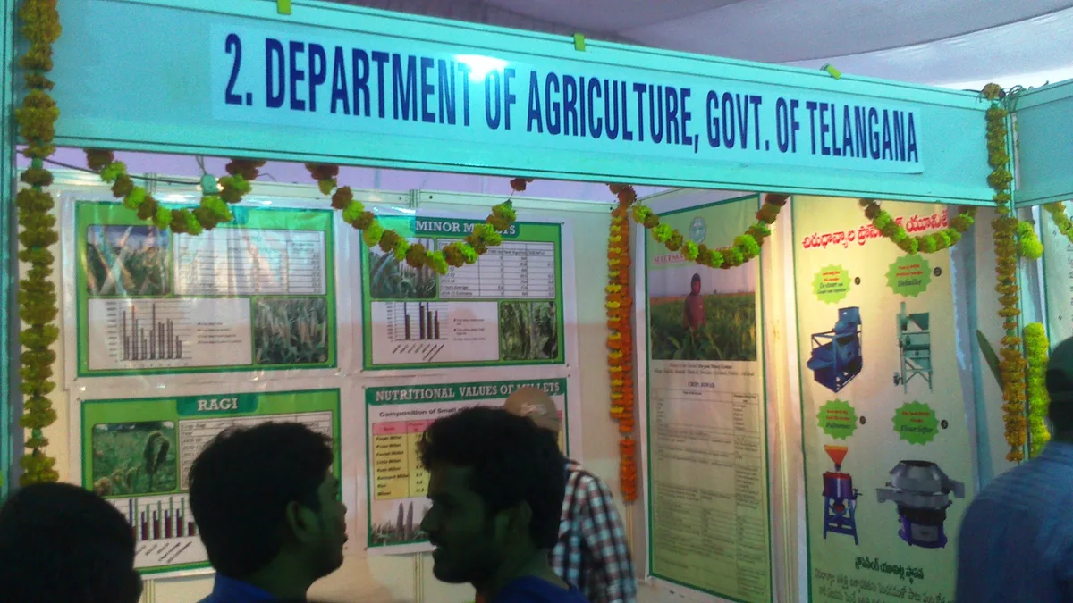 An exhibition stall at a millet festival organised by the College of Home Science, Professor Jayashankar Telangana State Agricultural University, Hyderabad (representational image).