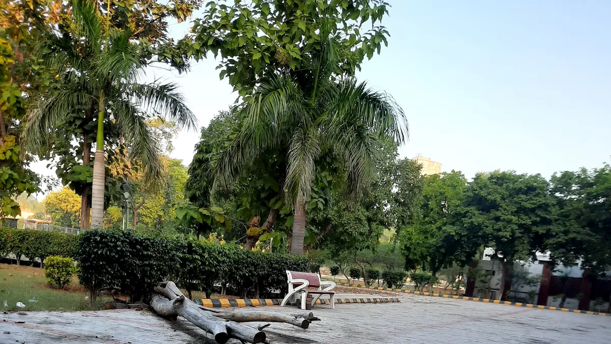 The grounds at Government Medical College, Amritsar (representative image). The stray vacancy round is the final stage of Punjab's NEET UG 2026 state counselling for MBBS and BDS seats.