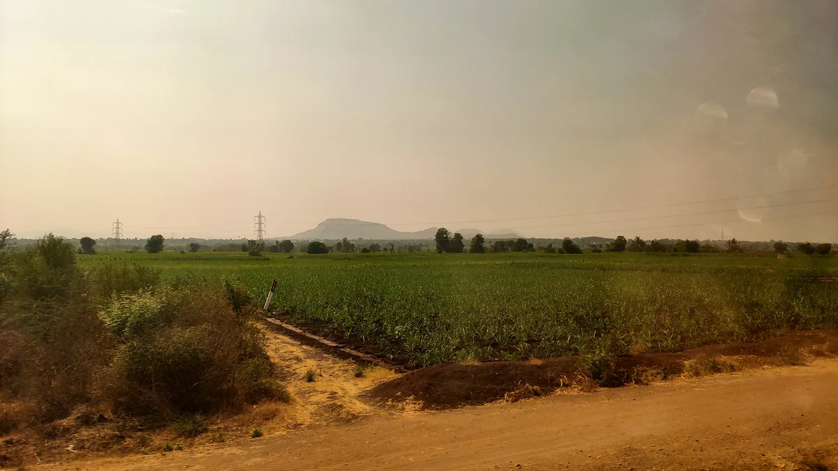 Representative image: farmland in an Indian village