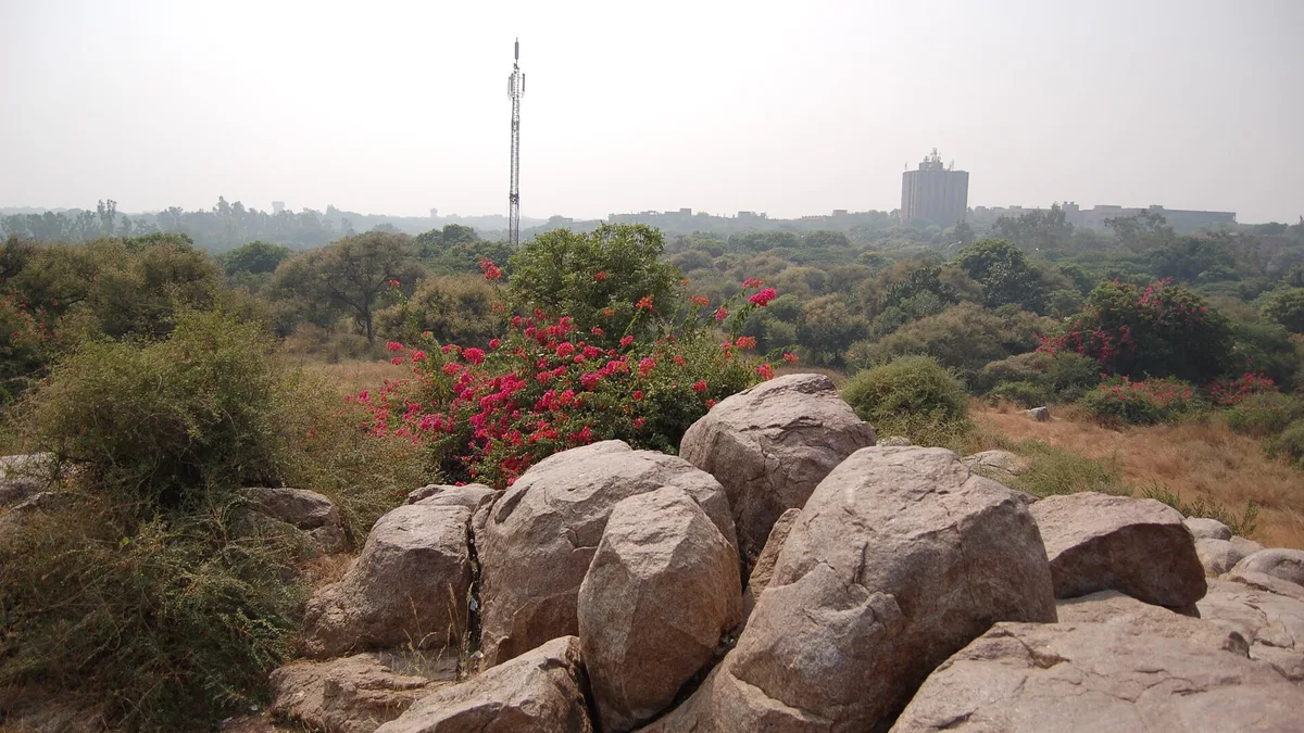 JNU