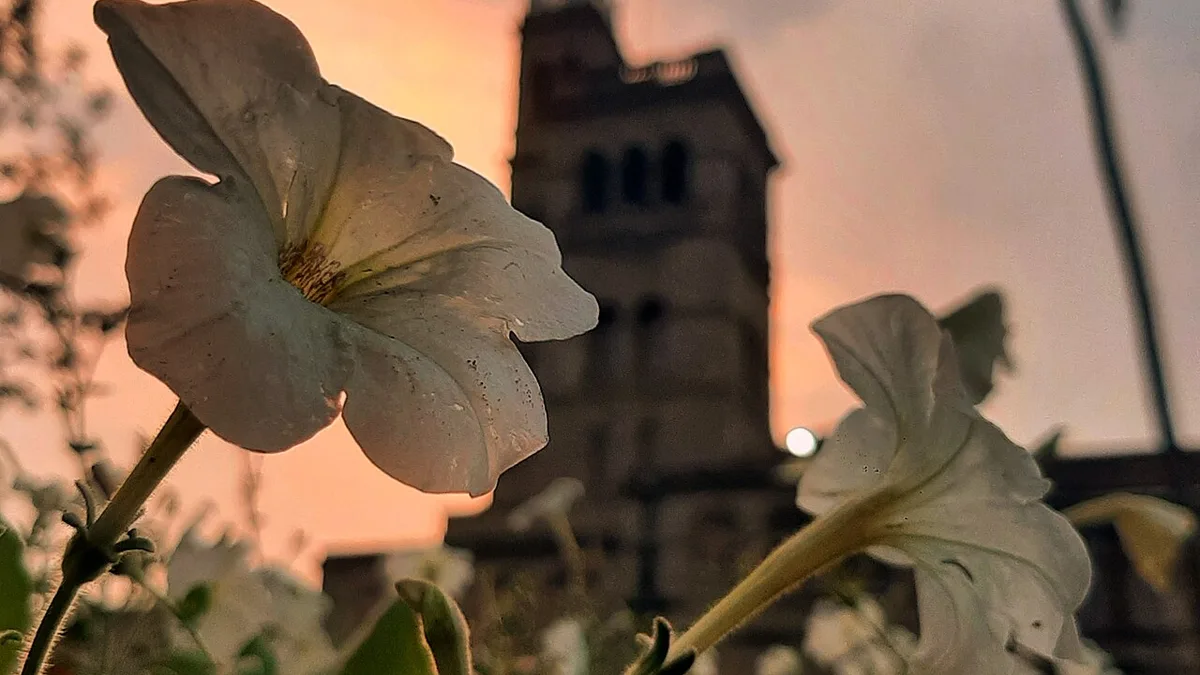 Savitribai Phule Pune University campus